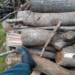 （新たに伐採🐜）くるみ　薪　薪ストーブ　原木　軽トラ積み放題1台２９００円の画像