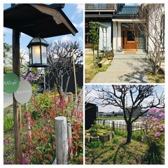 体が固い人の為のヨガ in 428cafe+の画像