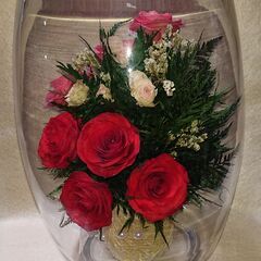 🔴母の日など贈り物にも🌺大きなガラスドーム入りのカーネーション 🔴高さ28.5cm、直径約20cm 🔴キズ・よごれもとくになくきれいですの画像