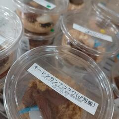 ＊＊クワガタ＊ロードプラザ倉敷＊倉敷＊船穂＊玉島＊直売＊＊の画像