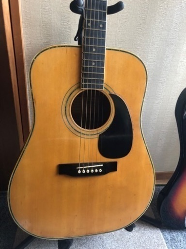 TOKAI東海楽器Cat'sEyes CE200D ※お買い上げありがとうございました