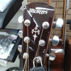 MORRIS アコースティックギター F-020 TSの画像