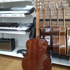 MORRIS アコースティックギター F-020 TSの画像
