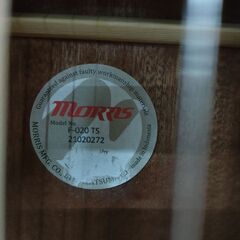 MORRIS アコースティックギター F-020 TSの画像