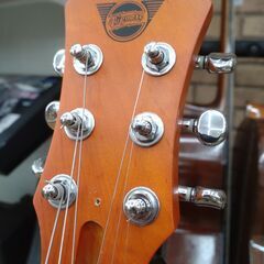 Pignose  アンプ内蔵エレキギターの画像