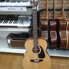 MORRIS アコースティックギター F-01 Ⅱ NAT