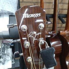MORRIS アコースティックギター F-01 Ⅱ NATの画像
