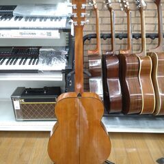 MORRIS アコースティックギター F-01 Ⅱ NATの画像