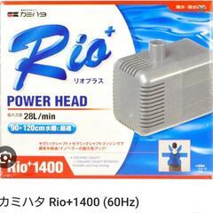 カミハタ Rio+1400