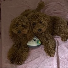 この度は本当にありがとうございました。