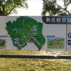 １月１１日(日)ラッキーフリーマーケット開催します。 - フリーマーケット