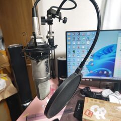 【郵送も可】RODE Microphones ロードマイクロフォンズ NT2-A コンデンサーマイク NT2A　各種一式の画像