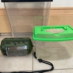 ★決まりました★飼育ケース虫かごセット★の画像