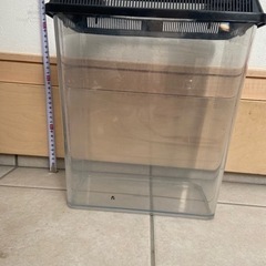 ★決まりました★飼育ケース虫かごセット★の画像