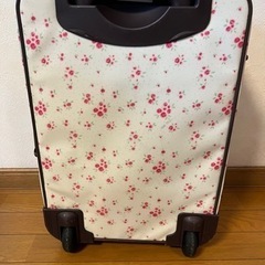 キャリーバッグ　機内持ち込みサイズの画像