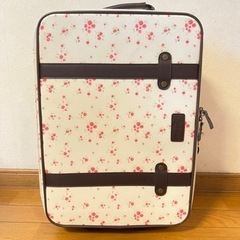キャリーバッグ　機内持ち込みサイズ