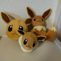 【決まりました】ポケモン　イーブイ　