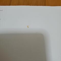 AKB48メガネルック集の画像