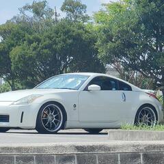Z33