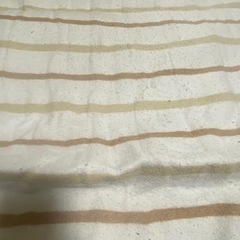 電気毛布　お譲りします。の画像
