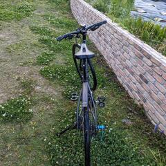 TREK FX2 サイズSの画像