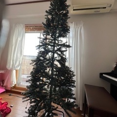 クリスマスツリーの画像
