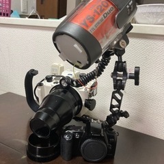 INON X1【水中ハウジング】