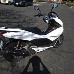 ホンダ PCX150 KF12　HONDAの画像