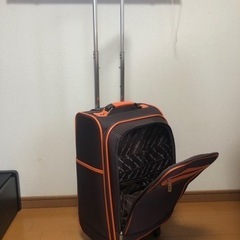キャリーバッグ アツキオオニシの画像
