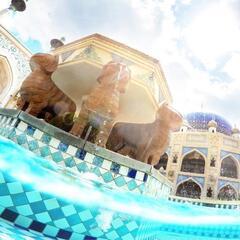 初心者でも楽しめるディズニー会🎵in池袋 - メンバー募集