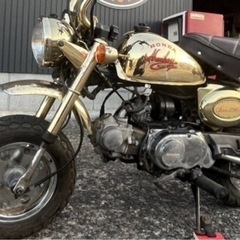 激レア🐵初代ゴールドモンキー🏍️🎶✨️