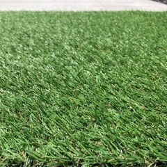人工芝　580㎝×70㎝　芝丈20㎜の画像