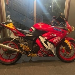 最終値下げ！Kawasaki Ninja250R エヴァンゲリオン2号機仕様の画像
