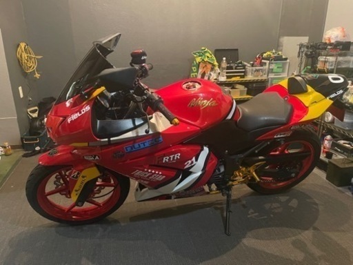 最終値下げ！Kawasaki Ninja250R エヴァンゲリオン2号機仕様