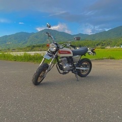 エイプ50