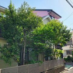 週３日～OK！軽作業スタッフ募集中！日払い可能！