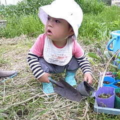 子育て中の親子のためのシェア畑、シェア田んぼのメンバー募集 − 愛知県