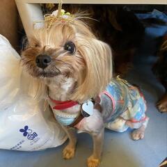 明日取りに来てくれる方お願いします。