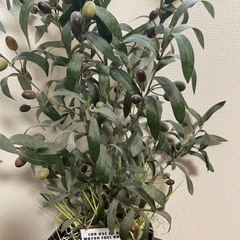 オリーブ フェイクグリーン 鉢付き 光触媒 観葉植物の画像