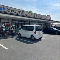 めだか販売してます^_^