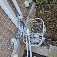 子供  自転車の画像