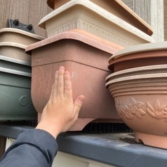 プランター　一個50円の画像