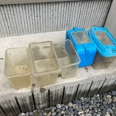 虫籠　まとめての値段