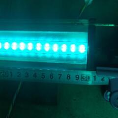 LEDライト45cm迄の水槽に乗ります。の画像