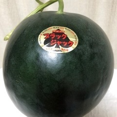 農家直送 ！熊本植木スイカ 『種無し：ブラックジャック』