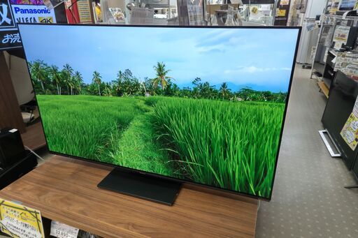 安心の動作保証有パナソニック VIERA 55型 4K有機ELテレビ 2022年製 保証有り【愛千141】