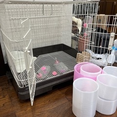 うさぎケージの中古が安い！激安で譲ります・無料であげます(5
