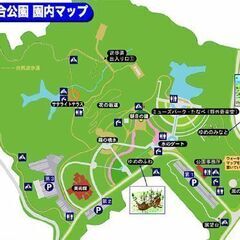 ５月１１日(日)、２５日(日)ラッキーフリーマーケット開催いたします。 − 和歌山県