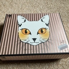 新品　ルルドめめホットチャージ　未使用品