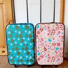 キャリーバッグ　子供用